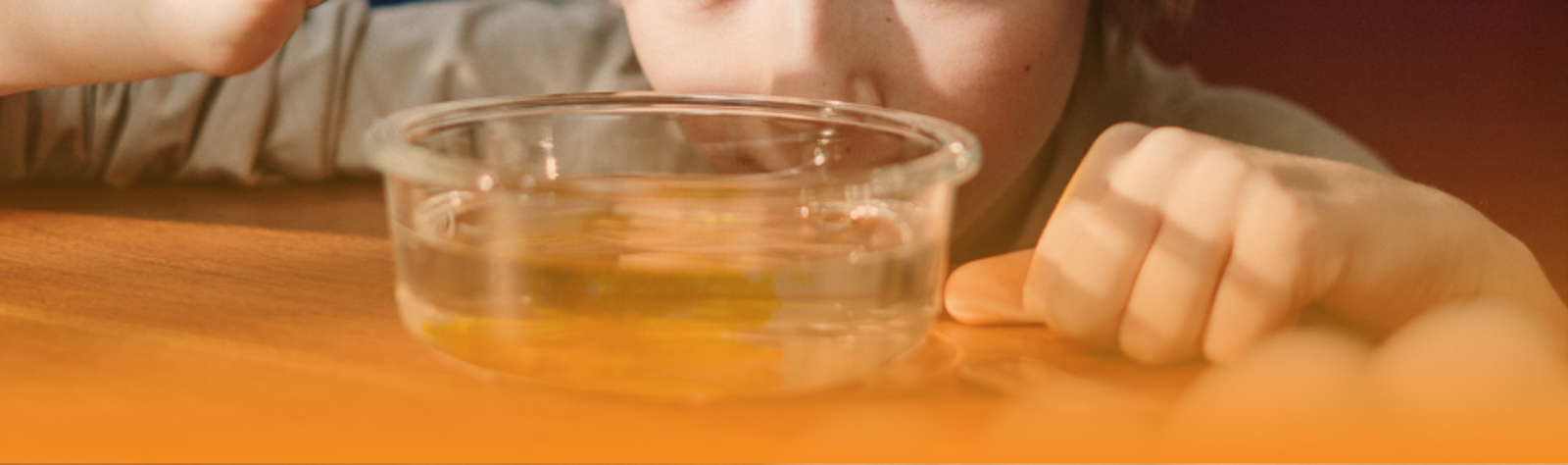Walking water - science experiment | Activities | Village of Learning ...